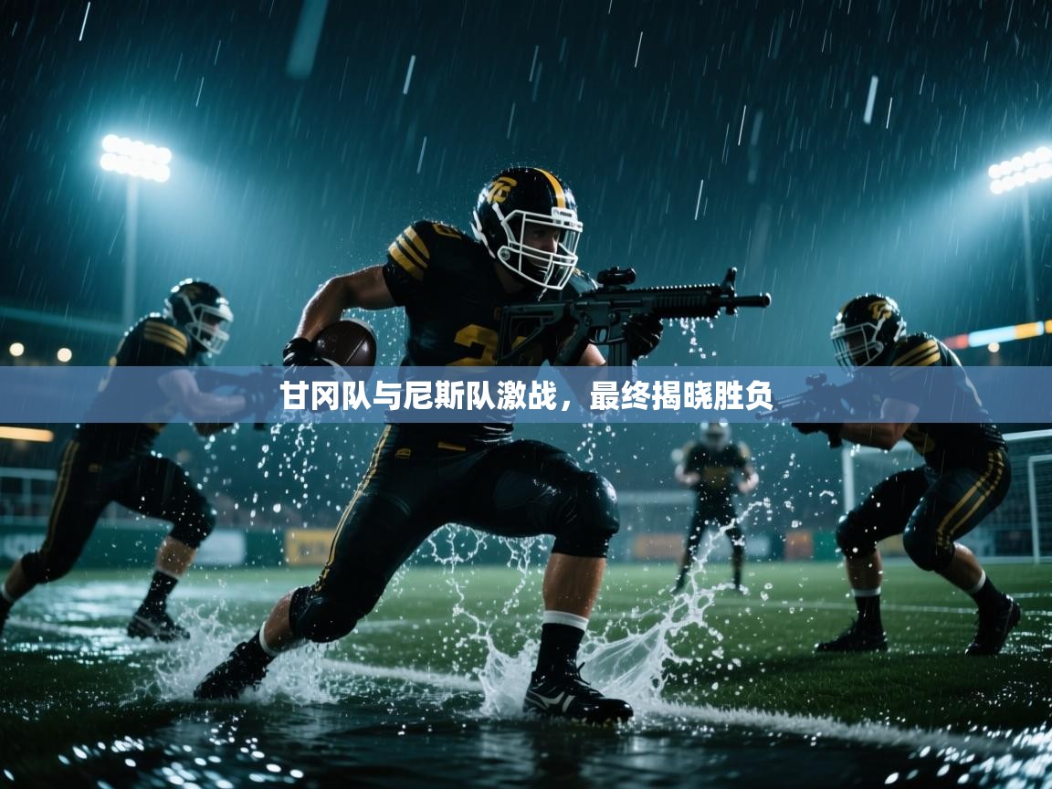 甘冈队与尼斯队激战，最终揭晓胜负  第1张