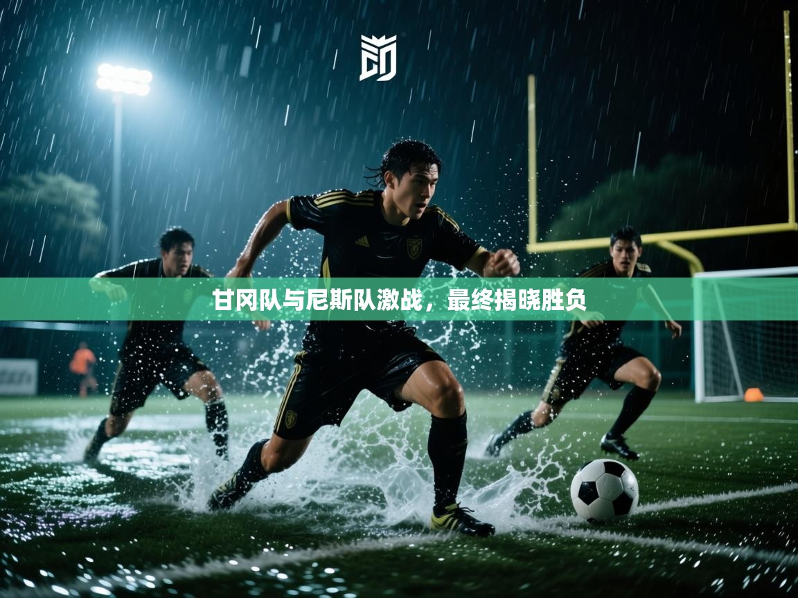 甘冈队与尼斯队激战，最终揭晓胜负  第2张