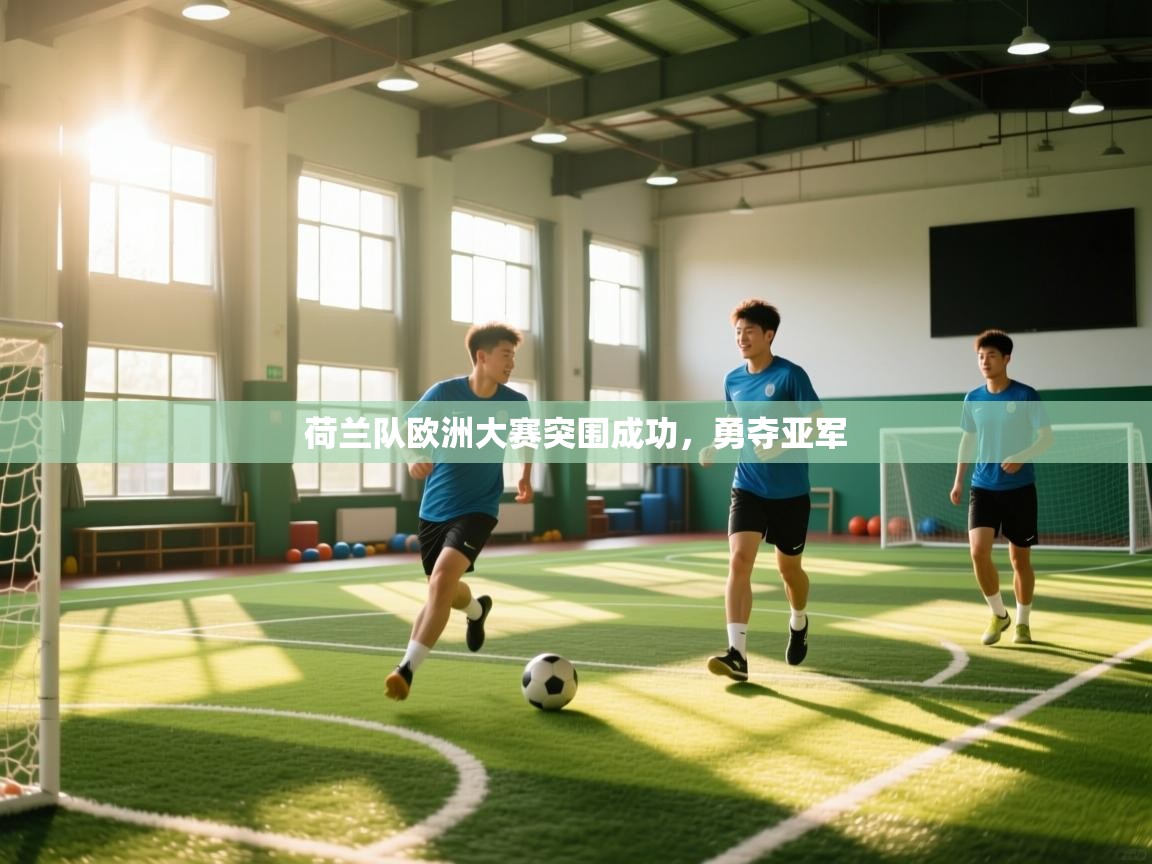 荷兰队欧洲大赛突围成功，勇夺亚军  第1张