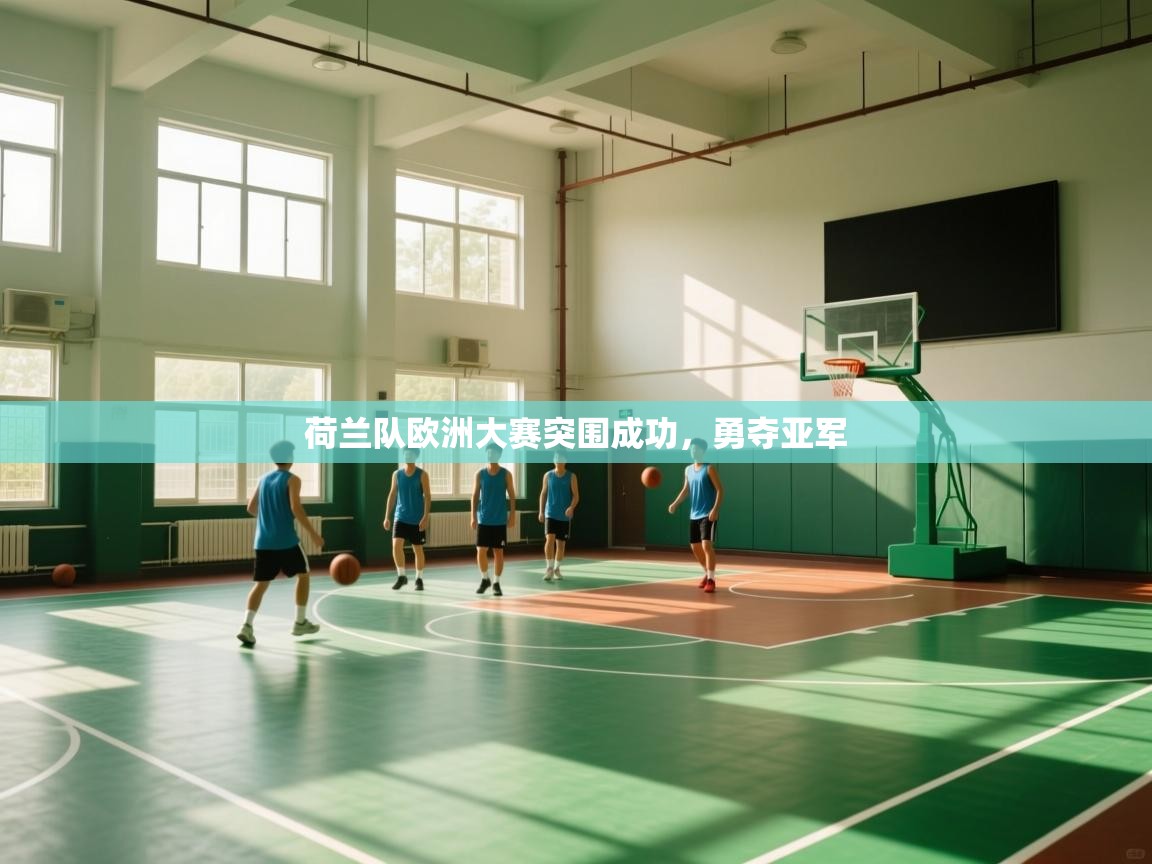 荷兰队欧洲大赛突围成功，勇夺亚军  第2张